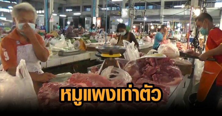 ภาพชยภมชาวบานรานขายโอดหนกราคาเนอหมพงรบปใหมสงกวาเทาตว_6