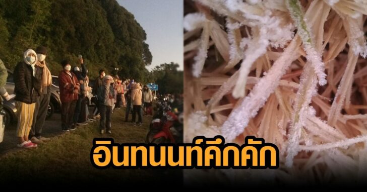 ภาพนำ อินทนนท์