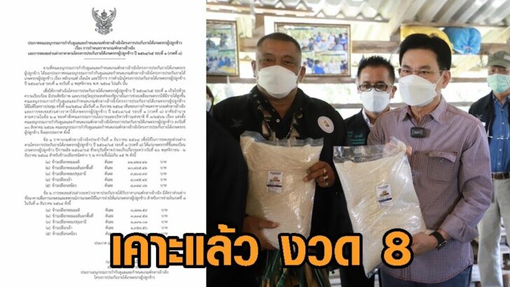 เคาะงวด8