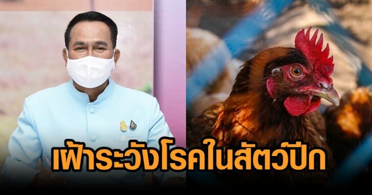 เฝ้าระวังโรคในสัตว์ปีก