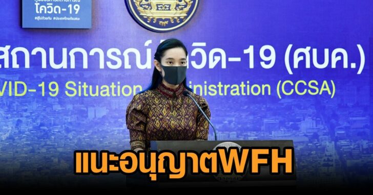 แนะอนุญาตwfh