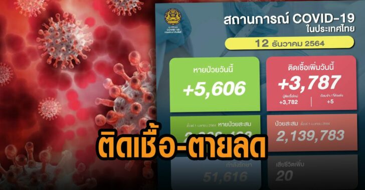 โควิด-ติดเชื้อตายลด
