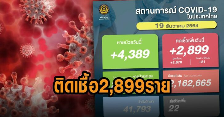 โควิดไทยวันนี้-19ธ.ค.64