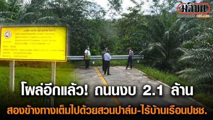 โผล่อีกแล้ว! ถนนงบ 2.1 ล้าน สองข้างทางเต็มไปด้วยสวนปาล์ม-ไร้บ้านเรือนปชช.
