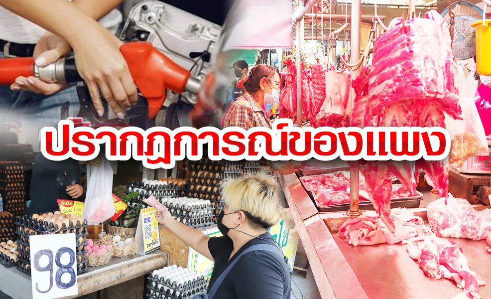 โหนกระแส 'หมูแพง' สินค้าเฮโลขึ้นราคา ดันค่าครองชีพคนไทยทะลุเพดาน โหนกระแส 'หมูแพง' สินค้าเฮโลขึ้นราคา ดันค่าครองชีพคนไทยทะลุเพดาน