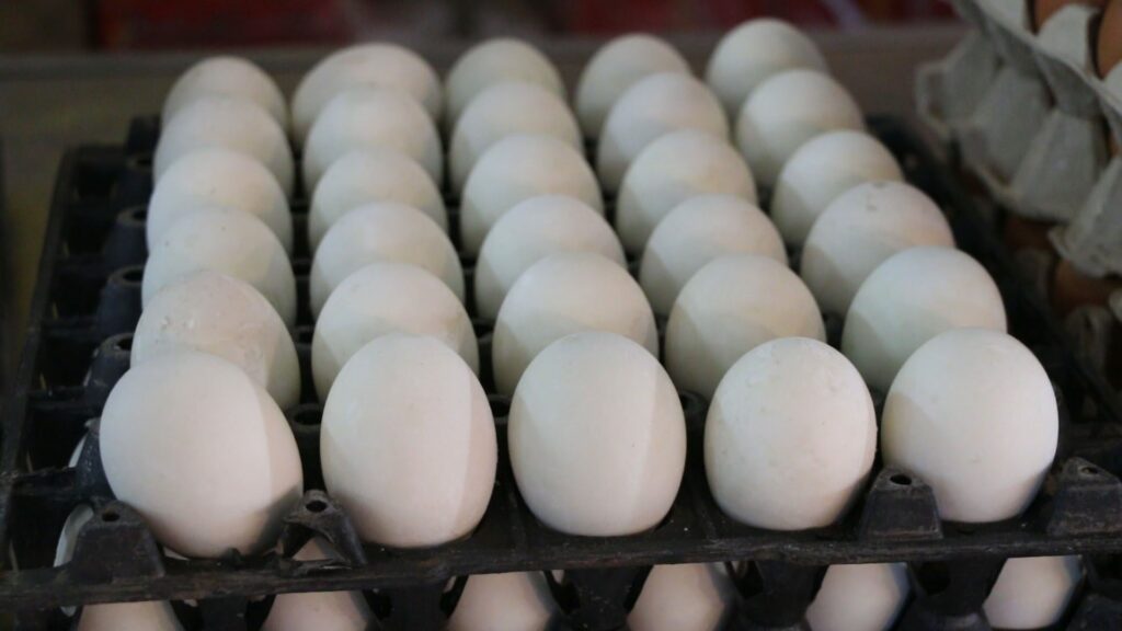 ไข่เป็ด ทะลุ 120 บาท/แผง ส่วนไข่ไก่แพงสุด 140 บาทแล้ว  ร้านจัดโปรลดราคาหากซื้อยกแผง