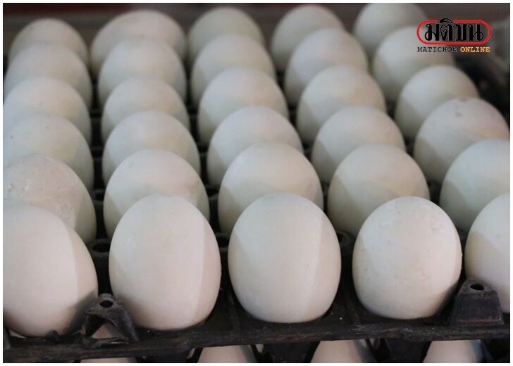 ไข่เป็ด ทะลุ 120 บาท/แผง ส่วนไข่ไก่แพงสุด 140 บาทแล้ว ร้านจัดโปรลดราคาหากซื้อยกแผง ไข่เป็ด ทะลุ 120 บาท/แผง ส่วนไข่ไก่แพงสุด 140 บาทแล้ว ร้านจัดโปรลดราคาหากซื้อยกแผง
