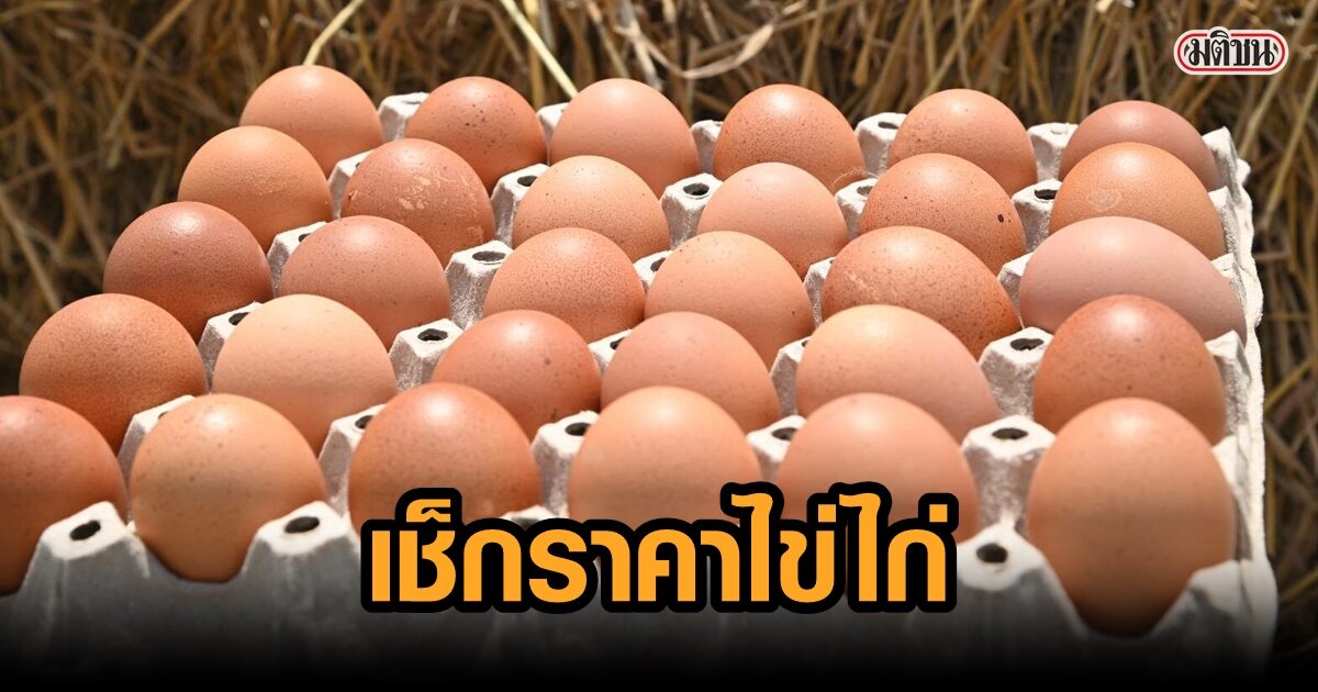 ไข่ เบอร์ 4