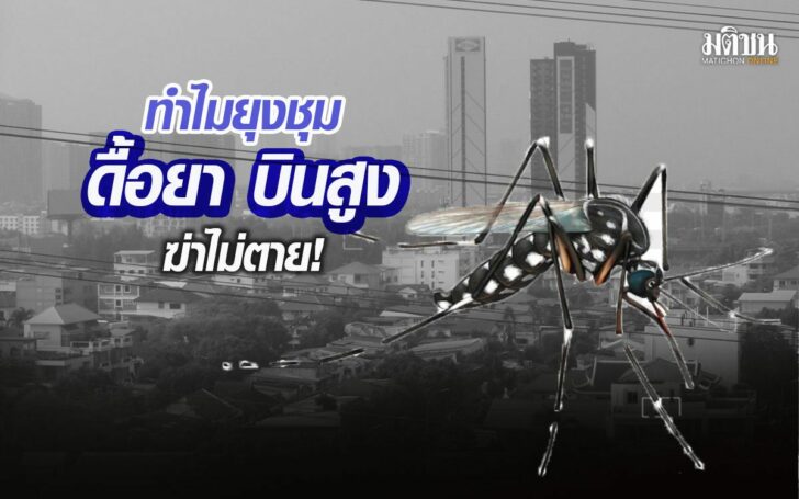 15ดะัท-พั