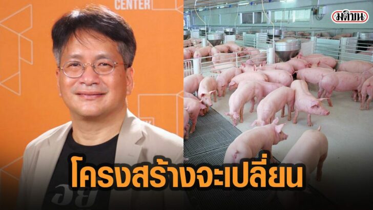 17พอกห