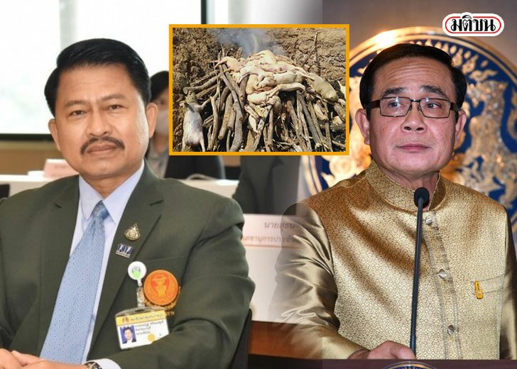 38ดมะะทัีา