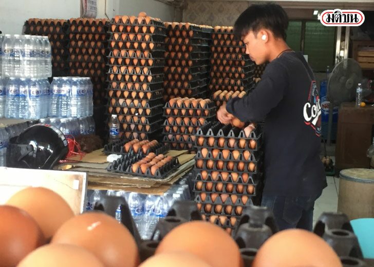 65ดะาทัีม