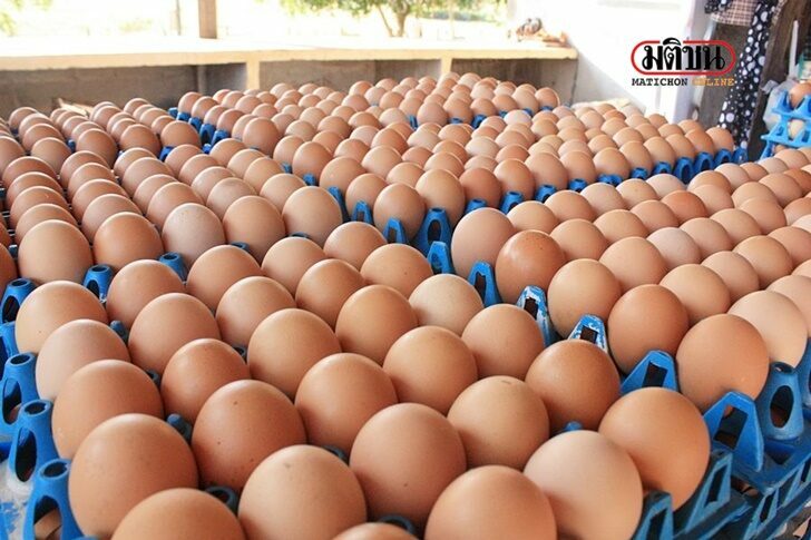 EGGS