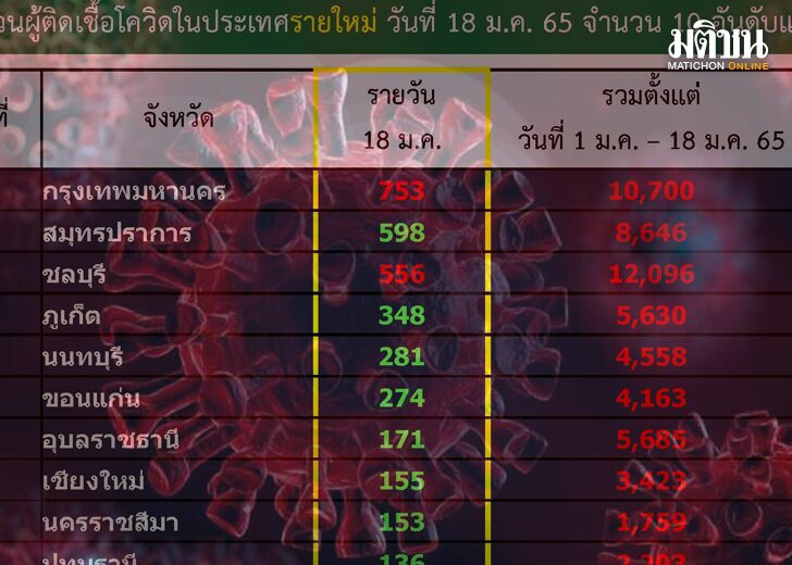 ขนาดเว็บโควิด