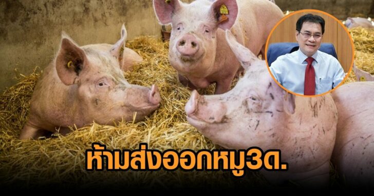 งานออกแบบที่ไม่มีชื่อ (67)