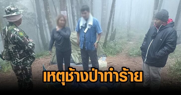ช้างป่าทำร้าย-ปิดม่อนจอง