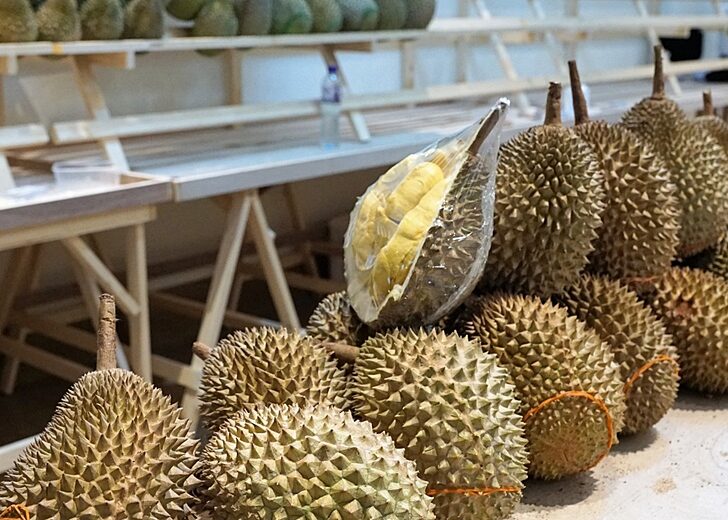 ทุเรียน