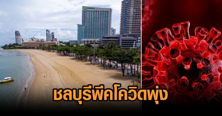 ปก