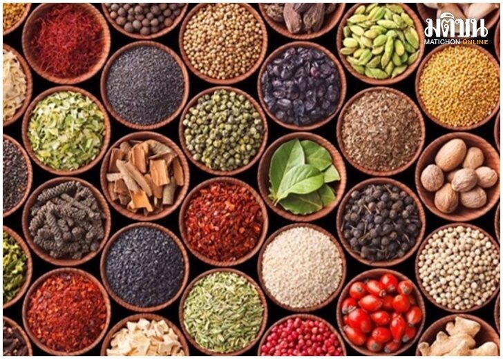 ปก-สมุนไพร