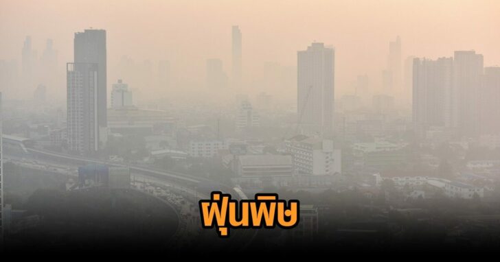 ฝุ่น-7