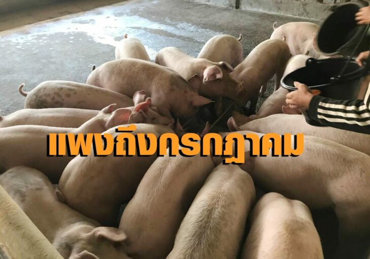 ม.หมู3