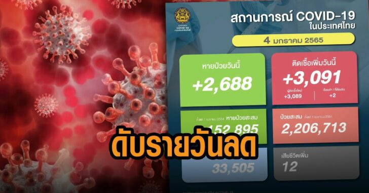 ยอดเสียชีวิตรายวันลดลง