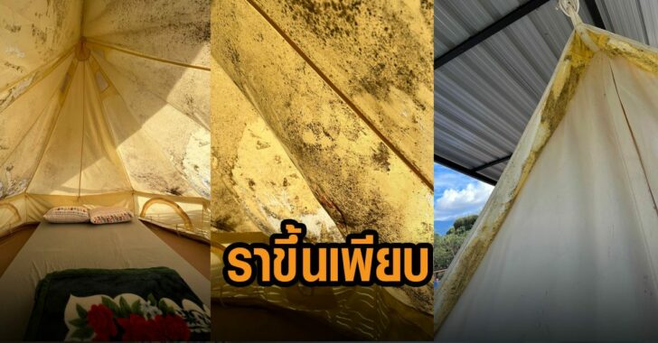 ราขึ้นเต้นต์