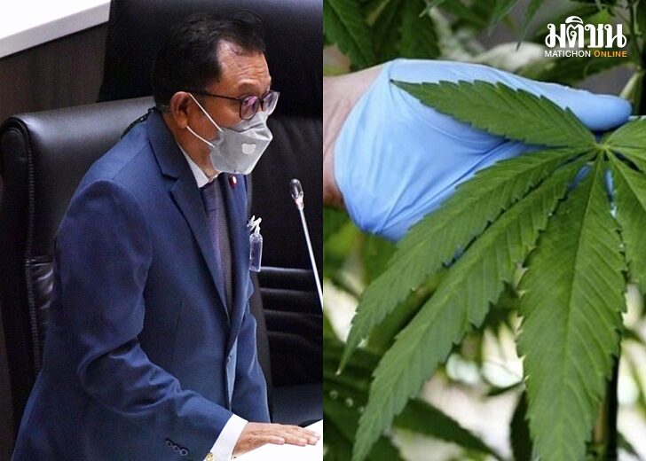 ศุภชัย-กัญชา