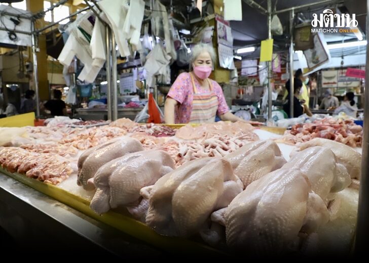 สินค้าควบคุม ไก่