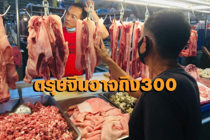 หมู1