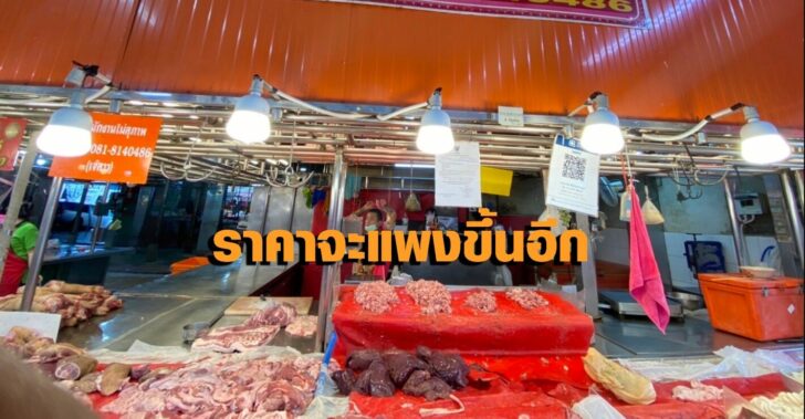 หมูเทวดา