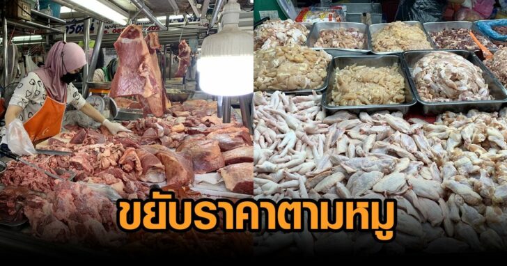เนื้อวัวไก่ขยับราคา