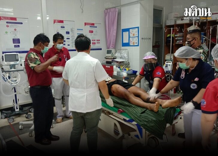 เสือ1
