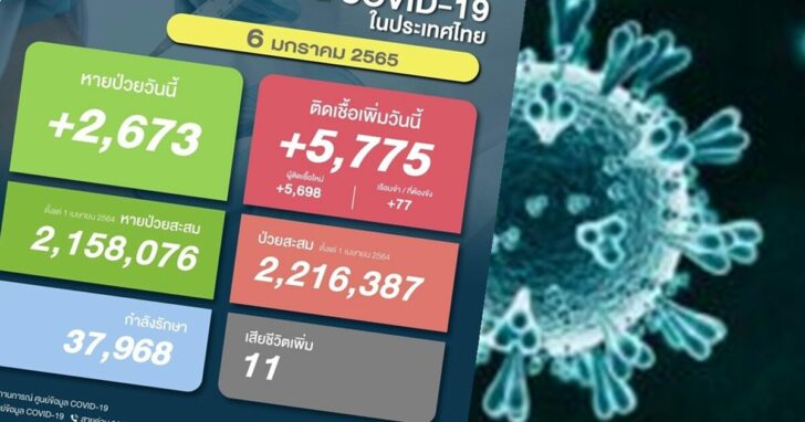 โควิด-4-234x161