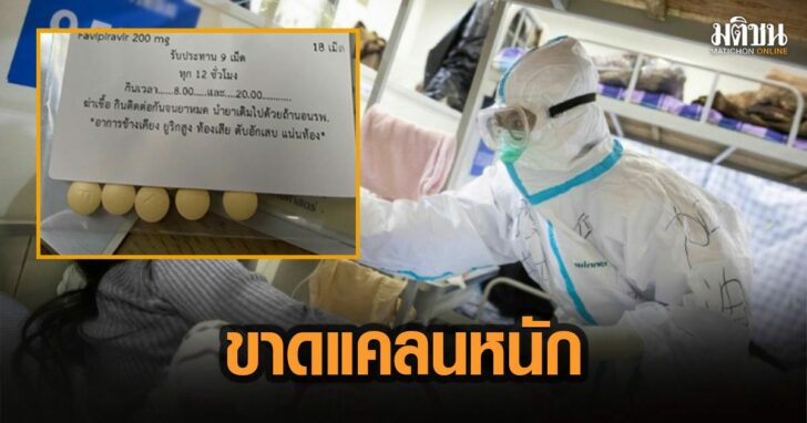 20ดัม้ี่ใ