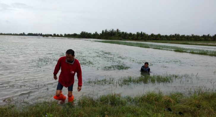 29 น้ำท่วมนา ประจวบ