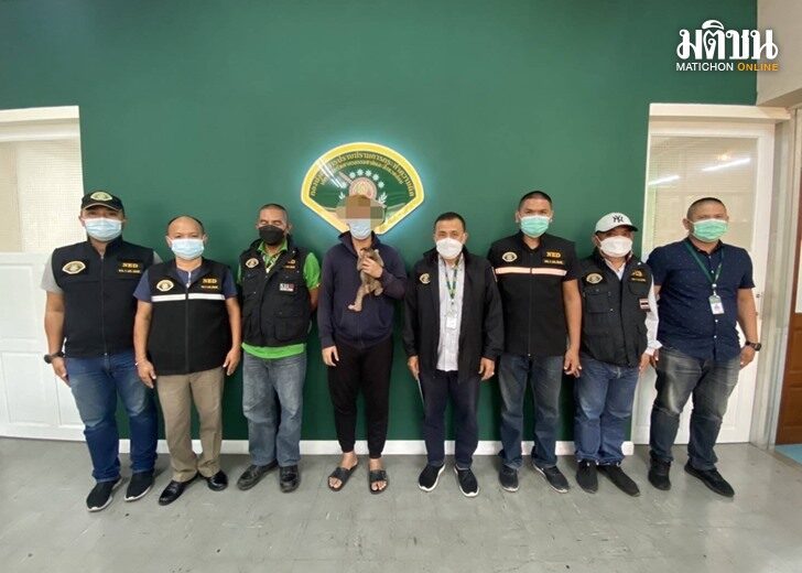 จับค้าลูกลิง