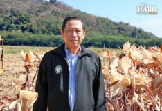 รายงานหน้า 2 : ชู‘กลุ่มพืชคาร์โบไฮเดรต’ ขับเคลื่อนเศรษฐกิจไทย