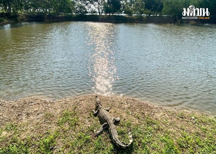 เข้ค่ะ
