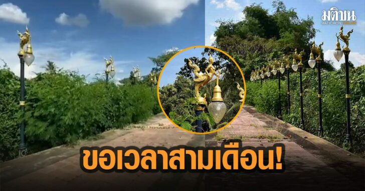 15ดะาทมัีม