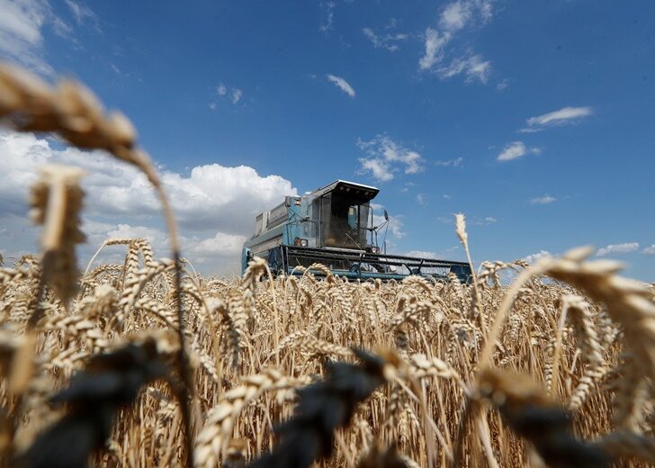 FILE PHOTO: A combine harvests wheat in a field in Kyiv region