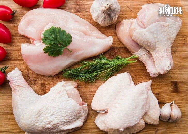 ปก-ไก่