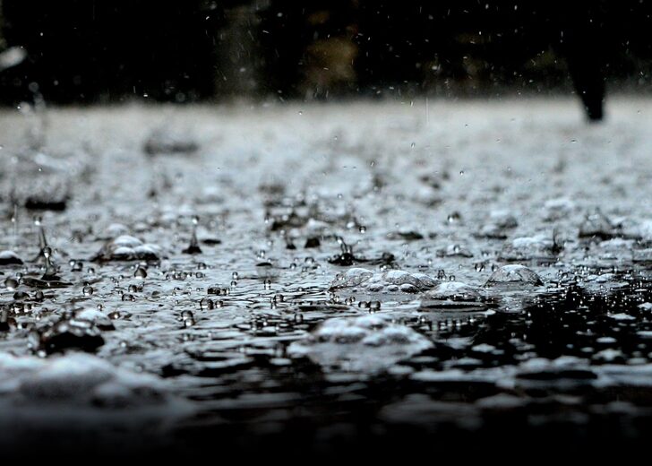 ฝนตก 728