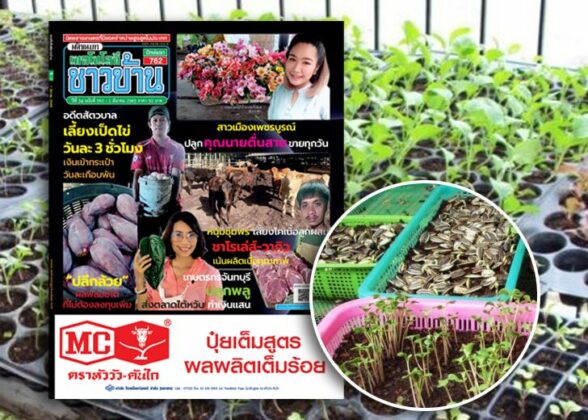 แท็งก์ความคิด : เติมไอเดียทำกิน สถานการณ์โลกไม่สู้ดี แม้ชาวโลกปรับตัว