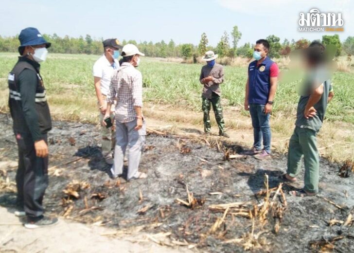 เผาไร่ นำ