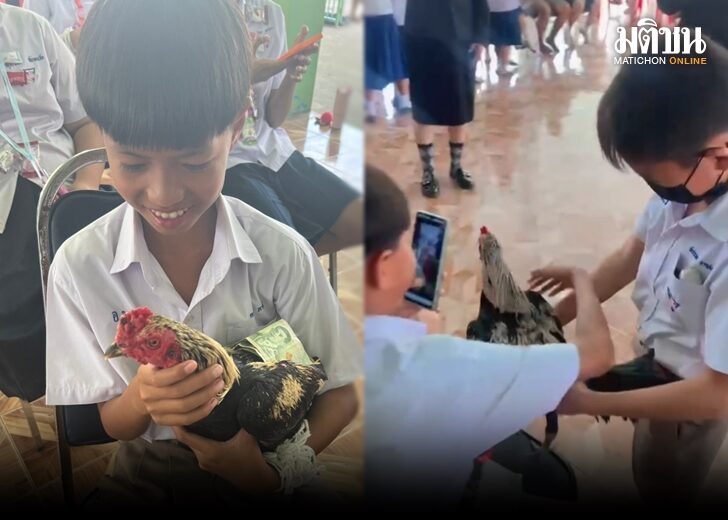 ไก่ชน