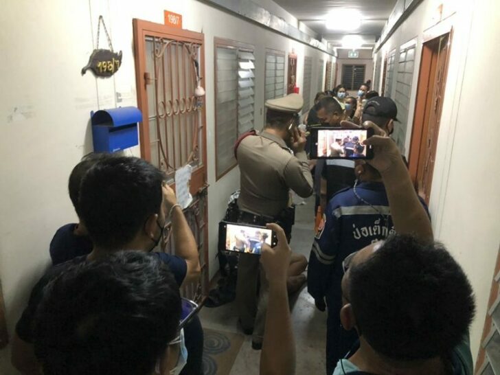 26้่ฝรี