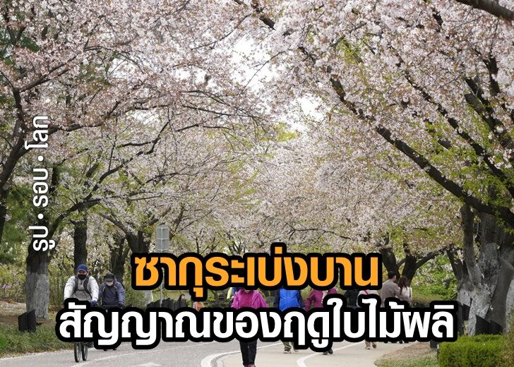 Virus Outbreak South Korea Daily Life