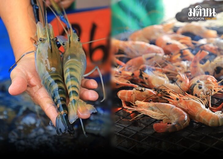 กุ้ง
