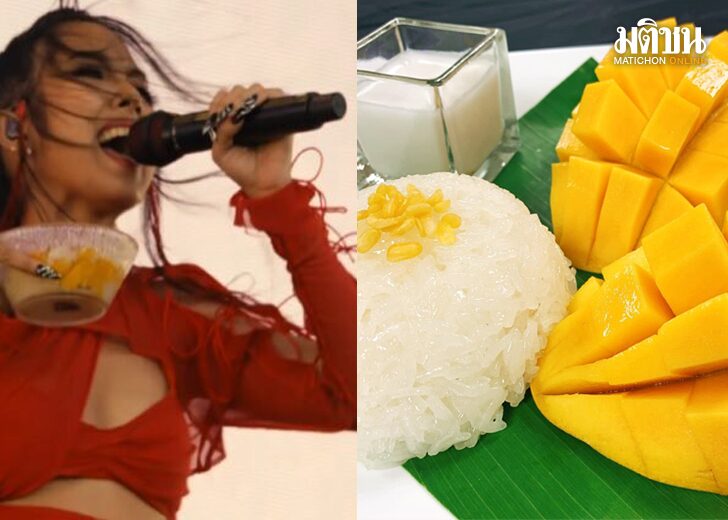 ขนาดเว็บข้าวเหนียวสุตรมิลลิ